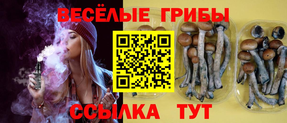 Псилоцибиновые грибы прущие грибы Заволжье