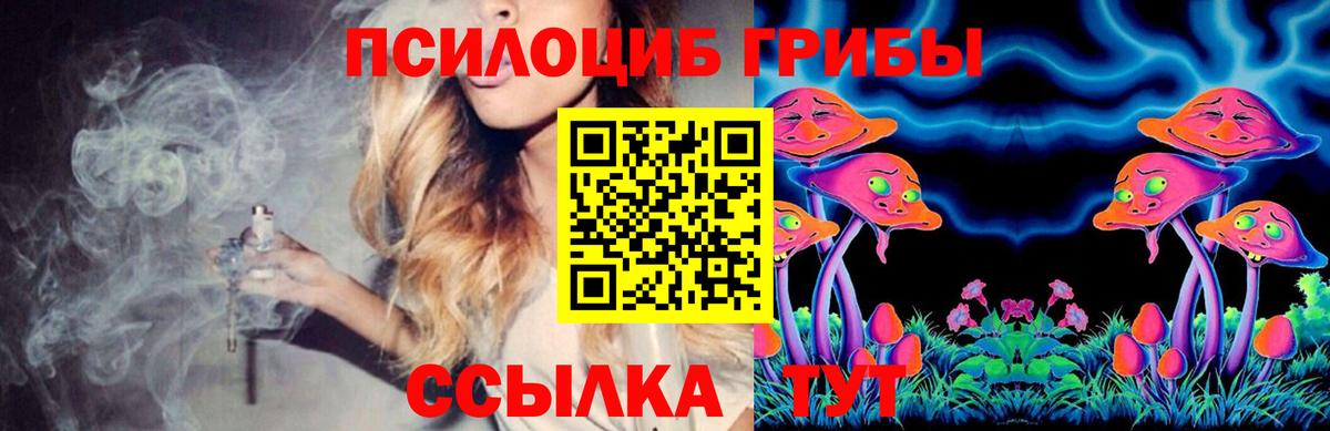 Заволжье  Галлюциногенные грибы Psilocybine cubensis  Галлюциногенные грибы Psilocybine cubensis  Вход с VPN 
